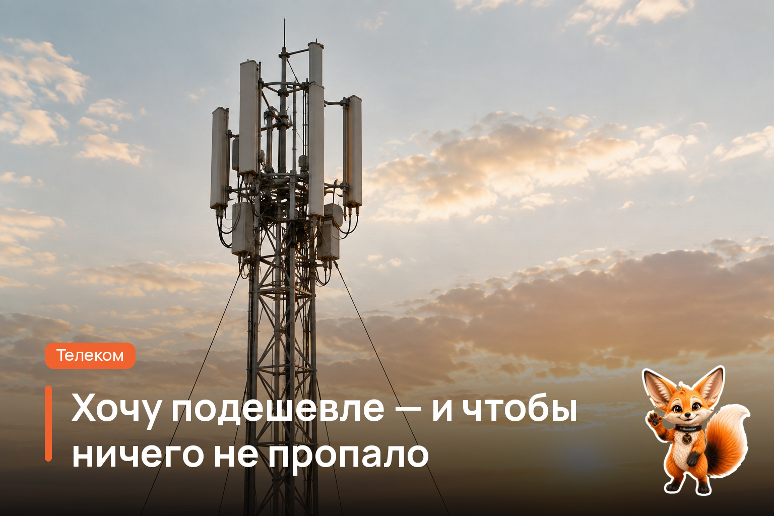 Обложка статьи «Хочу подешевле — и чтобы ничего не пропало»