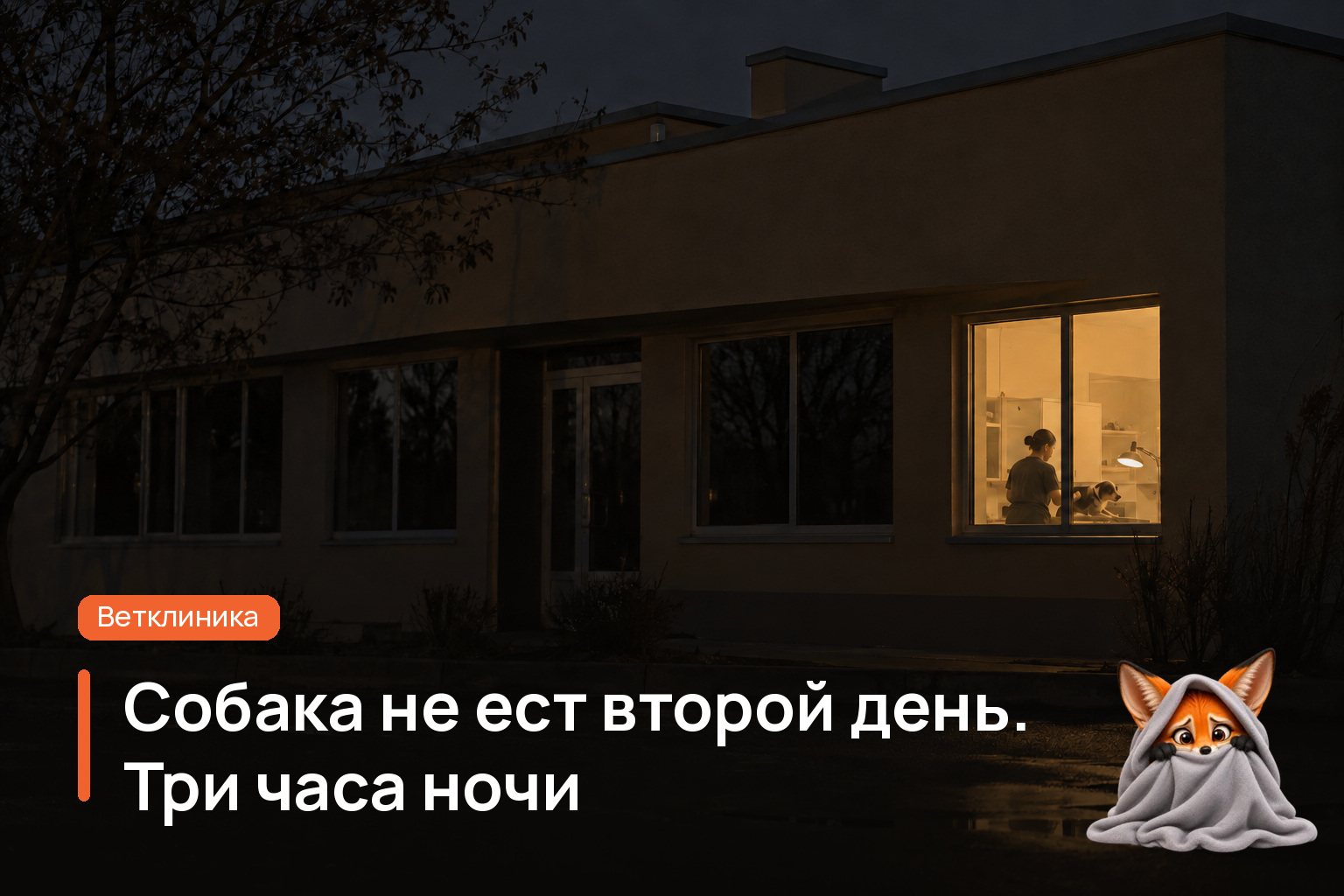 Обложка статьи «Собака не ест второй день. Три часа ночи»